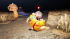 Игра Pikmin 4 (Nintendo Switch) (eng)