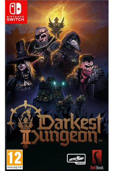 Игра Darkest Dungeon (Nintendo Switch) (rus sub) б/у