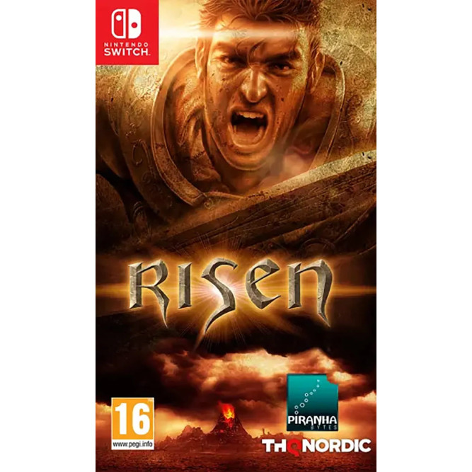 Игра Risen (Nintendo Switch) (rus sub)