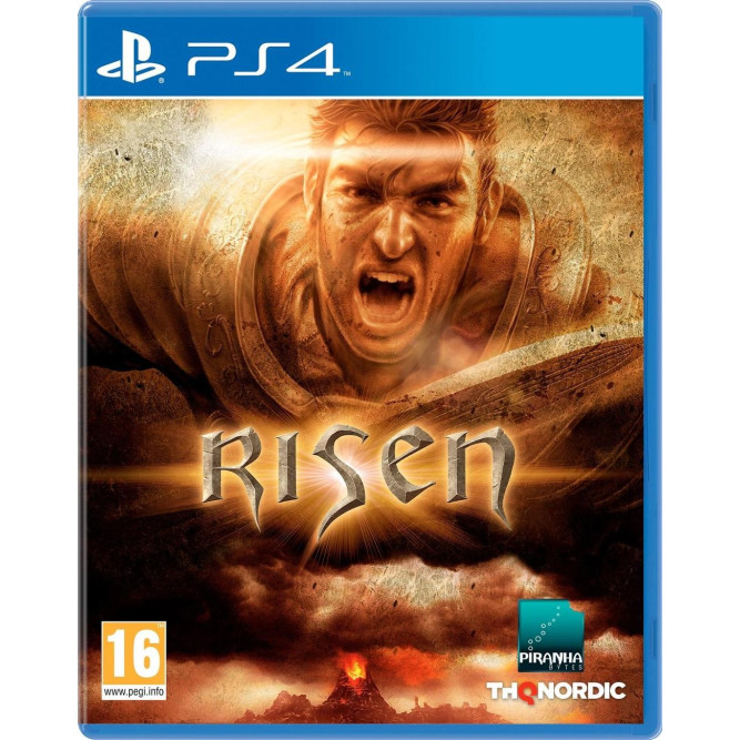 Игра Risen (PS4) (rus)
