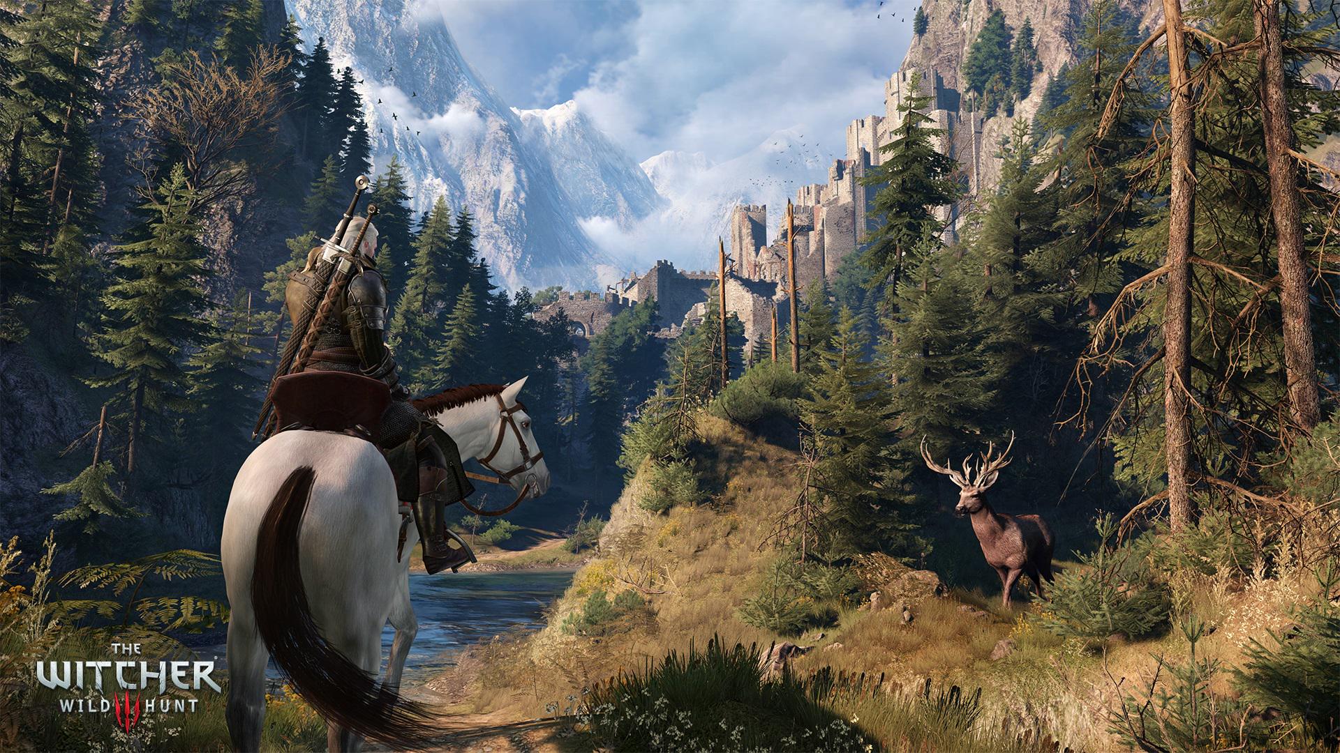 The witcher 3 fps boost фото 71