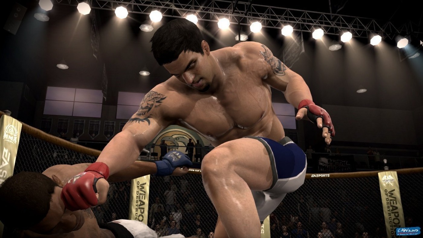 Как играть в mma на ps3 вдвоем