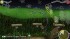 Игра Губка Боб Квадратные Штаны: Желтый Мститель (PSP) б/у