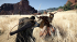 Игра Crimson Desert - Day One Edition (PS5) rus sub